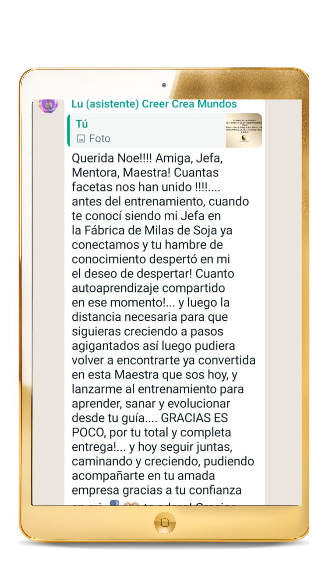 Portadas Academia (64)